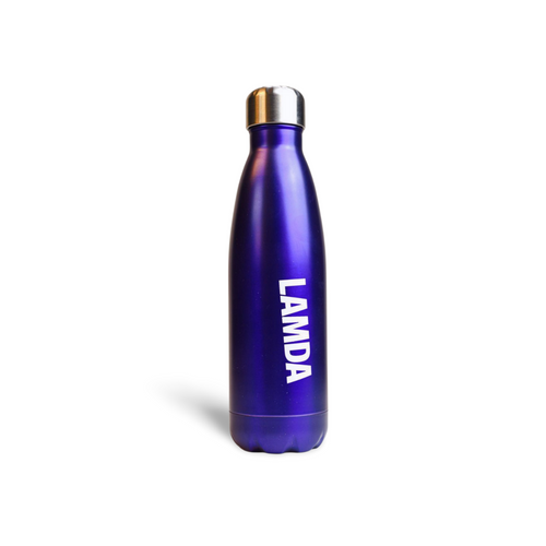 Stainless steel purple water bottle